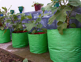 Grow bags